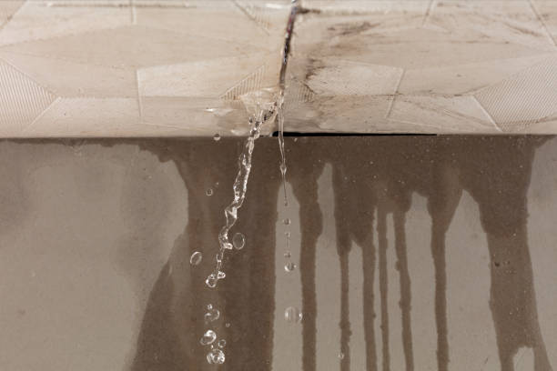 Professional Water Damage Repair technician working in South Bay, FL